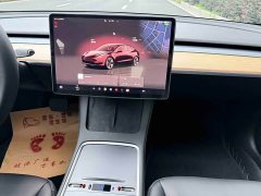 Tesla Model 3 2022 Rear-Wheel Drive - ფოტო 16