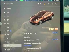 Tesla Model 3 2022 Rear-Wheel Drive - ფოტო 18