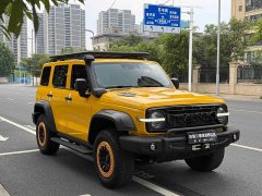 Tank 300 2022 2.0T Frontier Limited Edition - ფოტო 3