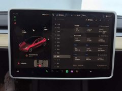 Tesla Model 3 2022 Rear-Wheel Drive - ფოტო 14