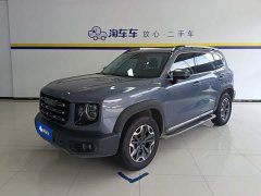 Great Wall Dachshund 2.0T DCT Four-Wheel Drive Chinese Rural Dog Edition - ფოტო 1