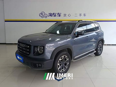2021 Great Wall Dachshund 2.0T DCT Four-Wheel Drive Chinese Rural Dog Edition - ავტომობილი ჩინეთიდან