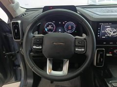 Great Wall Dachshund 2.0T DCT Four-Wheel Drive Chinese Rural Dog Edition - ფოტო 15