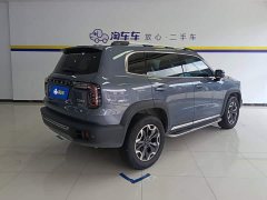 Great Wall Dachshund 2.0T DCT Four-Wheel Drive Chinese Rural Dog Edition - ფოტო 3