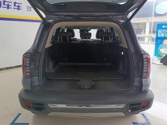 Great Wall Dachshund 2.0T DCT Four-Wheel Drive Chinese Rural Dog Edition - ფოტო 4