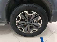 Great Wall Dachshund 2.0T DCT Four-Wheel Drive Chinese Rural Dog Edition - ფოტო 6
