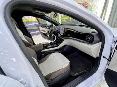 BYD Qin PLUS Glory Edition DM-i 55KM Leading - ფოტო 15
