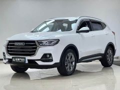 Haval H6 2021 National Trend 1.5T Automatic Champion Edition - ფოტო 1