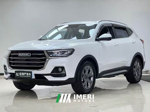 2023 Haval H6 National Trend 1.5T Automatic Champion Edition - ავტომობილი ჩინეთიდან
