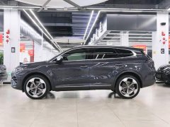 Denza X 2020 PHEV Premier Edition - ფოტო 3