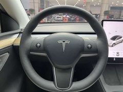 Tesla Model Y Long Range All-Wheel Drive - ფოტო 20