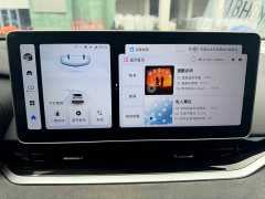 Geely Xingui Xingrui 2.0T Diesel Exclusive Cyan Green Edition - ფოტო 17