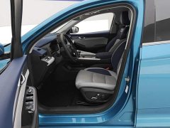 Geely Xingui Xingrui Facelift 2.0T Diesel Premium - фото 9