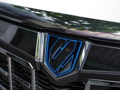 Toyota Alphard Hybrid 2.5L Premium Edition - ფოტო 9