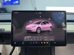 Tesla Model Y 2022 Facelift Rear-Wheel Drive - ფოტო 14