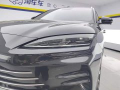 BYD Song Plus New Energy Champion Edition DM-i 110KM Flagship - ფოტო 5