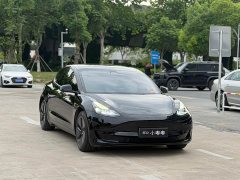 Tesla Model 3 Rear-Wheel Drive - ფოტო 3