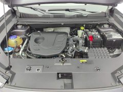 Jetour Jietu Dasheng 2023 1.5T DCT Star Radiance PRO - ფოტო 10