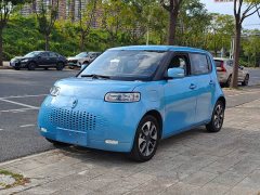 ORA White Cat 2020 305km Luxury - ფოტო 1