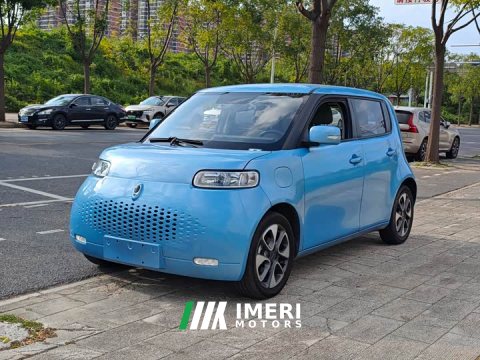 2021 ORA White Cat 2020 305km Luxury - ავტომობილი ჩინეთიდან