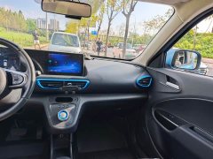 ORA White Cat 2020 305km Luxury - ფოტო 13