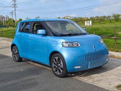 ORA White Cat 2020 305km Luxury - ფოტო 3