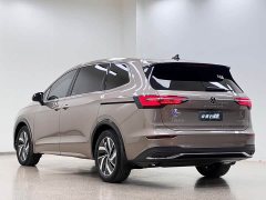 Volkswagen Viloran 380TSI Zunchi Edition - ფოტო 5