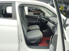 Leapmotor T03 310 Comfort Edition - ფოტო 8