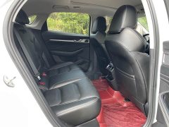 Geely Xingui Xingrui 2.0T Diesel Luxury - фото 10