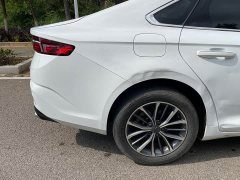 Geely Xingui Xingrui 2.0T Diesel Luxury - фото 15