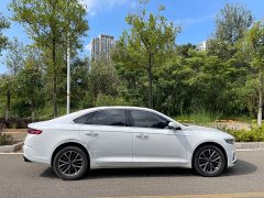 Geely Xingui Xingrui 2.0T Diesel Luxury - фото 17