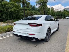 Geely Xingui Xingrui 2.0T Diesel Luxury - фото 18