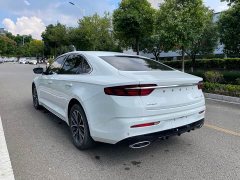 Geely Xingui Xingrui 2.0T Diesel Luxury - фото 20