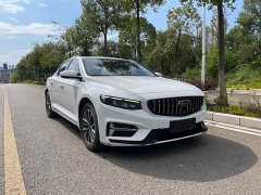 Geely Xingui Xingrui 2.0T Diesel Luxury - фото 3