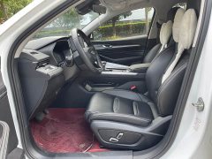 Geely Xingui Xingrui 2.0T Diesel Luxury - фото 7