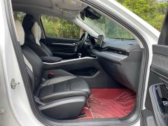 Geely Xingui Xingrui 2.0T Diesel Luxury - фото 8