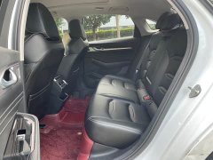 Geely Xingui Xingrui 2.0T Diesel Luxury - фото 9