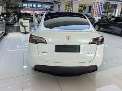 Tesla Model Y Rear-Wheel Drive - ფოტო 16