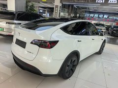 Tesla Model Y Rear-Wheel Drive - ფოტო 17