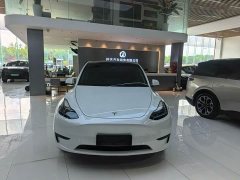 Tesla Model Y Rear-Wheel Drive - ფოტო 2