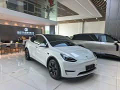 Tesla Model Y Rear-Wheel Drive - ფოტო 3
