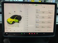 Tesla Model Y Rear-Wheel Drive - ფოტო 8