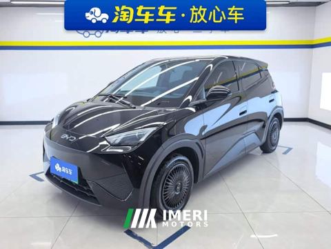 2025 BYD Seagull Smart Drive 305km Vitality Edition