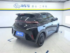 BYD Seagull Smart Drive 305km Vitality Edition - ფოტო 3