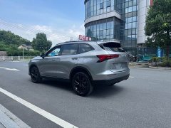 Haval H6 2024 1.5T Two-Wheel Drive Max - ფოტო 8