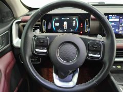 Jetour Cannon 2.0T Off-Road Auto Gasoline 4WD Everest Edition - ფოტო 8