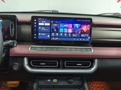 Jetour Cannon 2.0T Off-Road Auto Gasoline 4WD Everest Edition - ფოტო 9