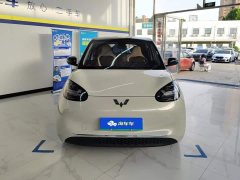 Wuling Binguo 2023 333km Joy Edition - ფოტო 2
