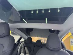 Tesla Model 3 2023 Rear-Wheel Drive - ფოტო 10