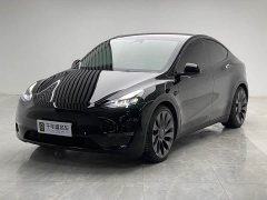 Tesla Model Y Performance All-Wheel Drive - ფოტო 1